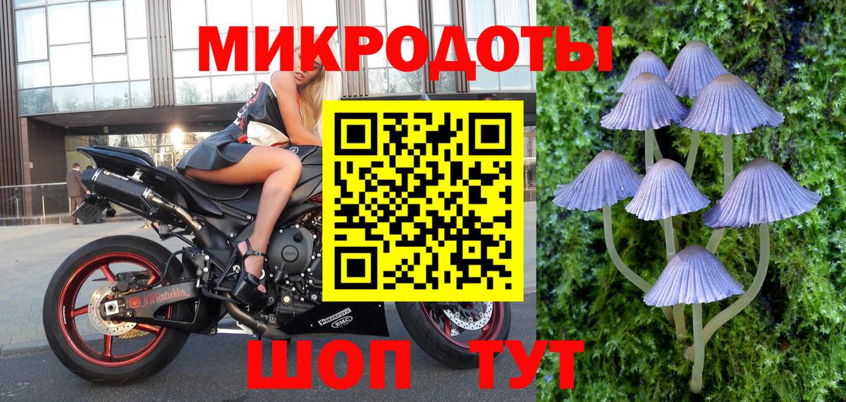 Псилоцибиновые грибы мицелий Кемерово