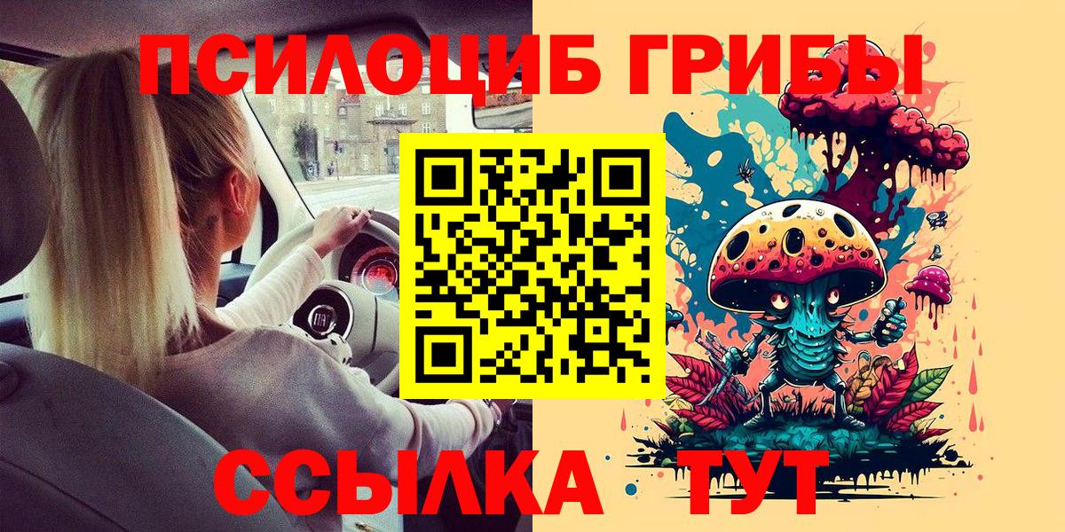 Галлюциногенные грибы Psilocybe  хочу   Кемерово  Вход с VPN 